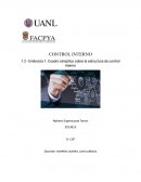 Cuadro sinóptico sobre la estructura de control interno