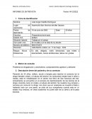 Entrevista clinica. Problema de drogadicción y alcoholismo, comportamiento agresivo y delirante