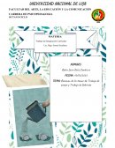 Trabajo de campo y trabajo de Gabinete