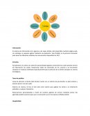 El sistema de información de la agencia a de viajes Xiinbal