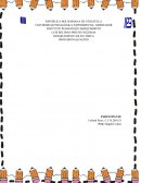 Instrumento de evaluación. Guia de observación