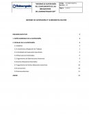 Informe de Supervision Proyecto Gasoducto