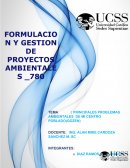 Problemas ambientales de mi localidad