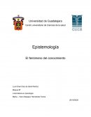 El fenomeno del conocimiento