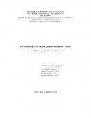 El procesador y el cibernauta