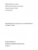 Desbordamiento de las aguas negras en la avenida Bermúdez de la Ciudad de Cumaná