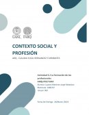 La formación de los profesionales, Cuadro comparativo entre las tres carreras