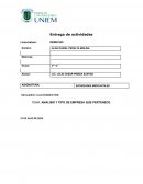 Análisis y tipo de empresa que pertenece