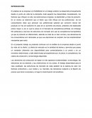 Análisis de la empresa La Esaimada