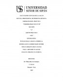 Farmacología práctica “Informe práctico N° 05”