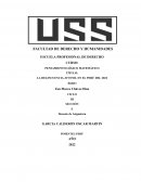 La delincuencia juvenil en el Perú del 2022