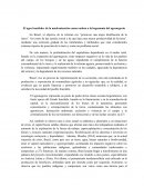 El agro brasileño: de la modernización conservadora a la hegemonía del agronegocio