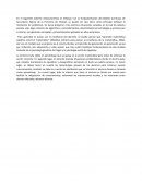 Diseño Curricular de Secundaria Básica