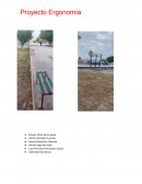 Proyecto ergonomia