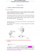 Trabajo Practico Cantidad de Movimiento