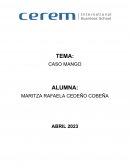 Caso final: Mango