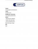 Cervecerías Peruanas Backus S.A