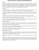 Azángaro, Estructura y Función de un sitio planificado Wari