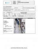 Proyecto: Prestación de servicios de supervisión para la construcción de redes externas e internas