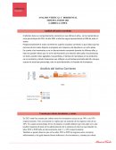 Análisis vertical y horizontal empresa Minerva