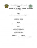 Análisis de la película Observación participante