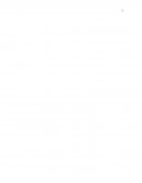 Ensayo sobre el libro La Franja Amarilla