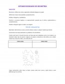 Estamos rodeados de Geometría