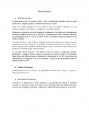 Plan de Negocios. Resumen ejecutivo