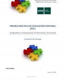 PEC Orientación Profesional y Personal