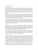 Conceptualización. Análisis autocrítico