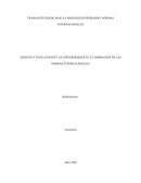 Avances y evolución de las universidades en la formacion de las normas internacionales