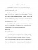 Los Ángeles Guardianes. Caso de Estudio