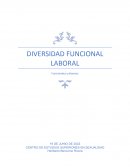 “Diversidad funcional” Funcionales y diversos