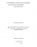 Efecto del Oxigeno Ionizado sobre el almacenaje de paltas