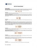 Ratios financieros
