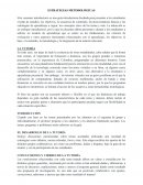 Estrategias metodológicas