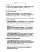 Microbiota intestinal y salud