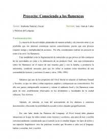 Proyecto Conociendo a los flamencos. Página 1