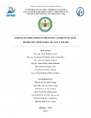 Huarapa - Esquema de ordenamiento urbano