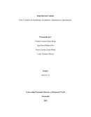 Zootecnia. Analisis de pubertad, fercindacion, implantacion