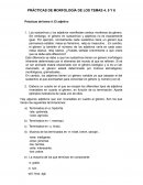 Prácticas del tema 4: El adjetivo