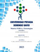 Resumen ejecutivo.Comercom SRL