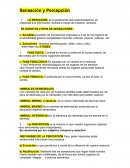 Sensación y Percepción