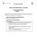 Prácticas pre-profesionales Metas área educativa