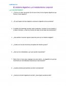 El sistema digestivo y el metabolismo corporal