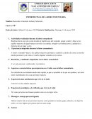 Informe final de labor comunitaria