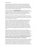 Apuntes psicomotricidad