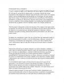 Resumen en inglés con la importancia del marco legal de la auditoría integral