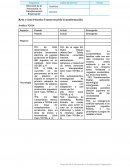 Caso Práctico Transversal de Transformación. Análisis TOYSA