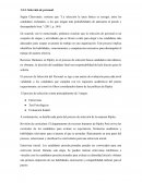 Seleccion y reclutamiento Ripley